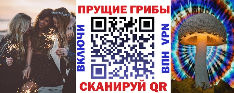 Псилоцибиновые грибы Magic Shrooms  кракен как зайти  Холм  дарнет шоп 
